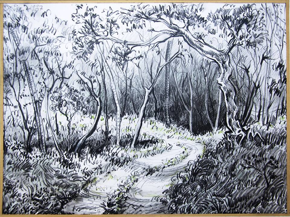 Landscape